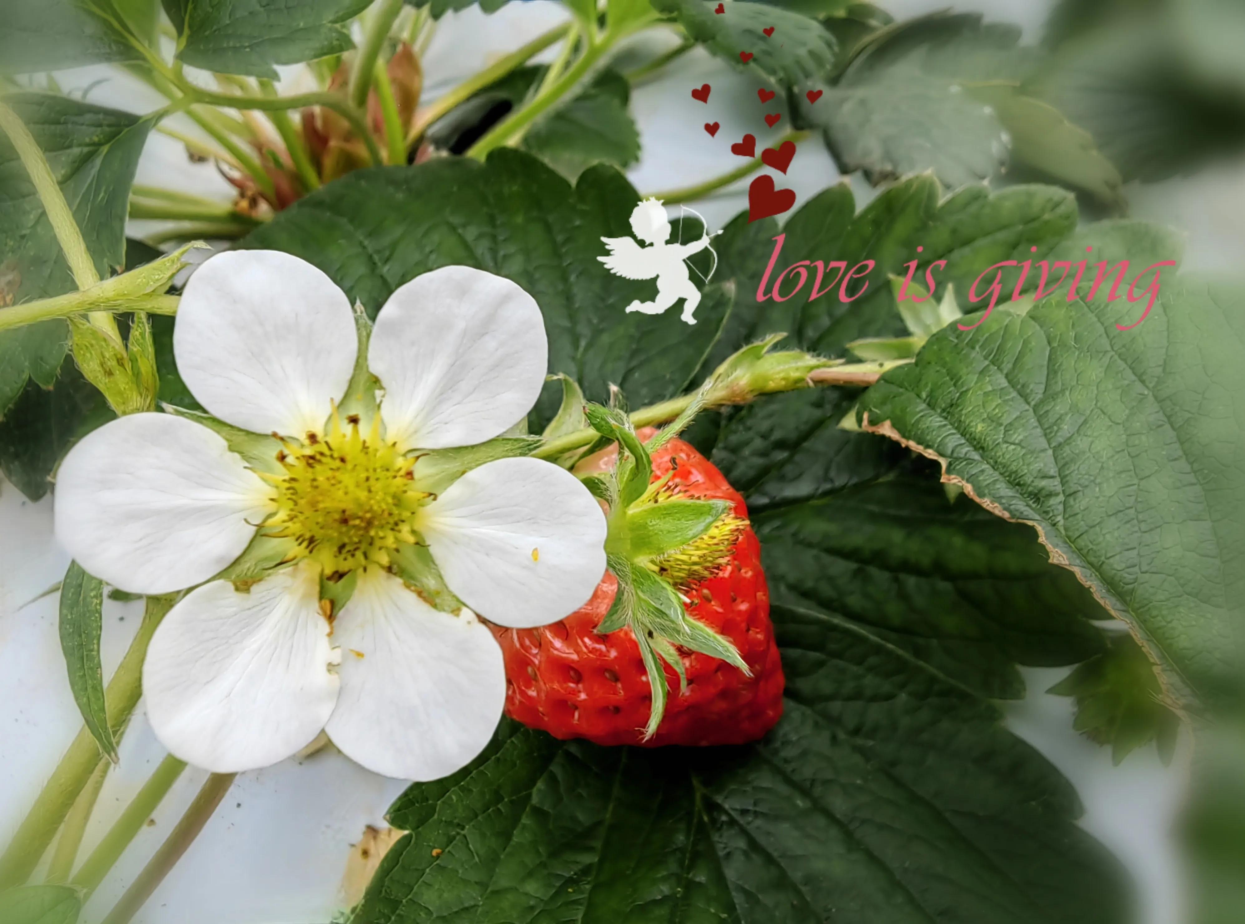 女人出现黑眼圈的原因,出现黑眼圈是怎么回事