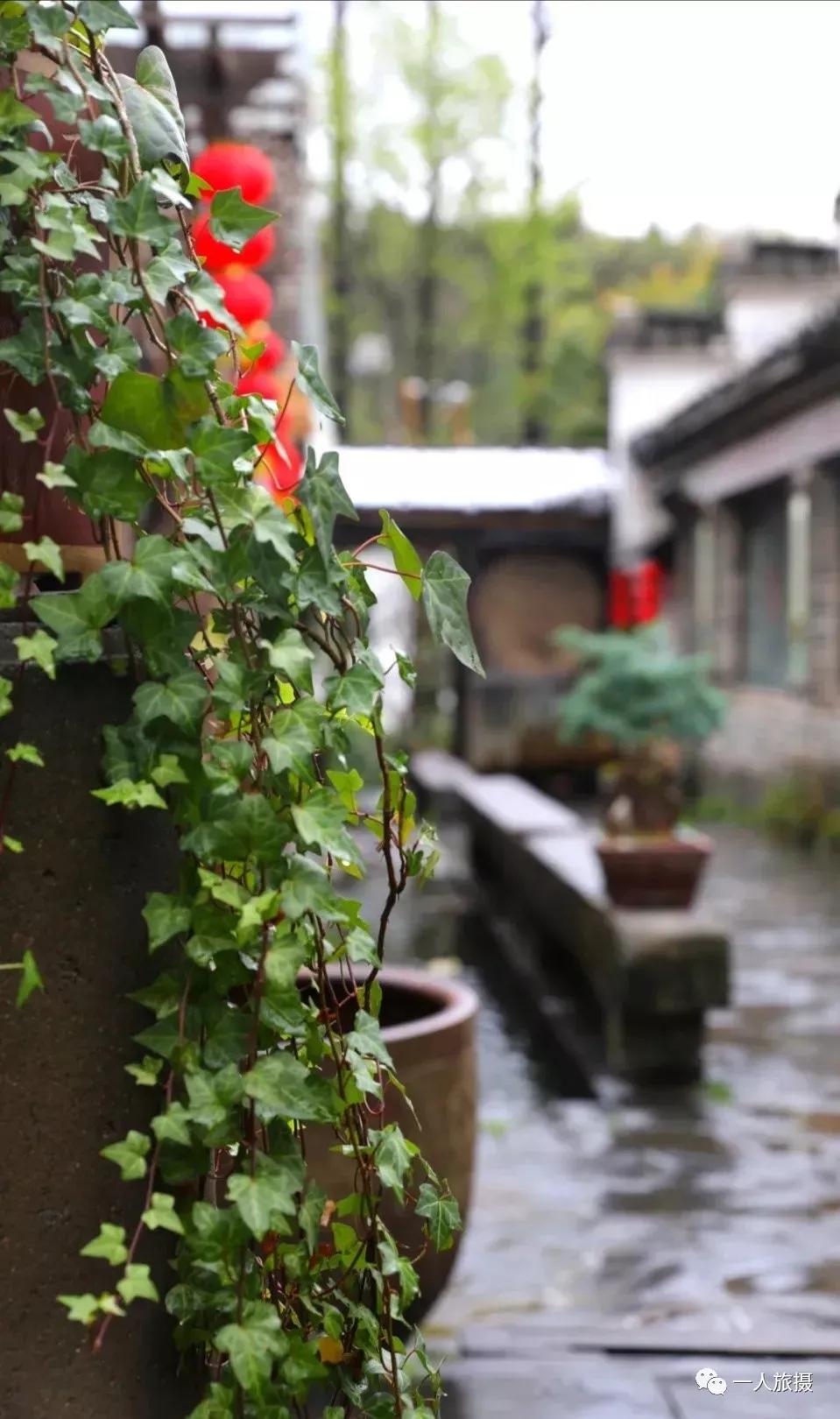 顺其自然的态度过着随遇而安生活,随其自然的态度过随遇而安的生活