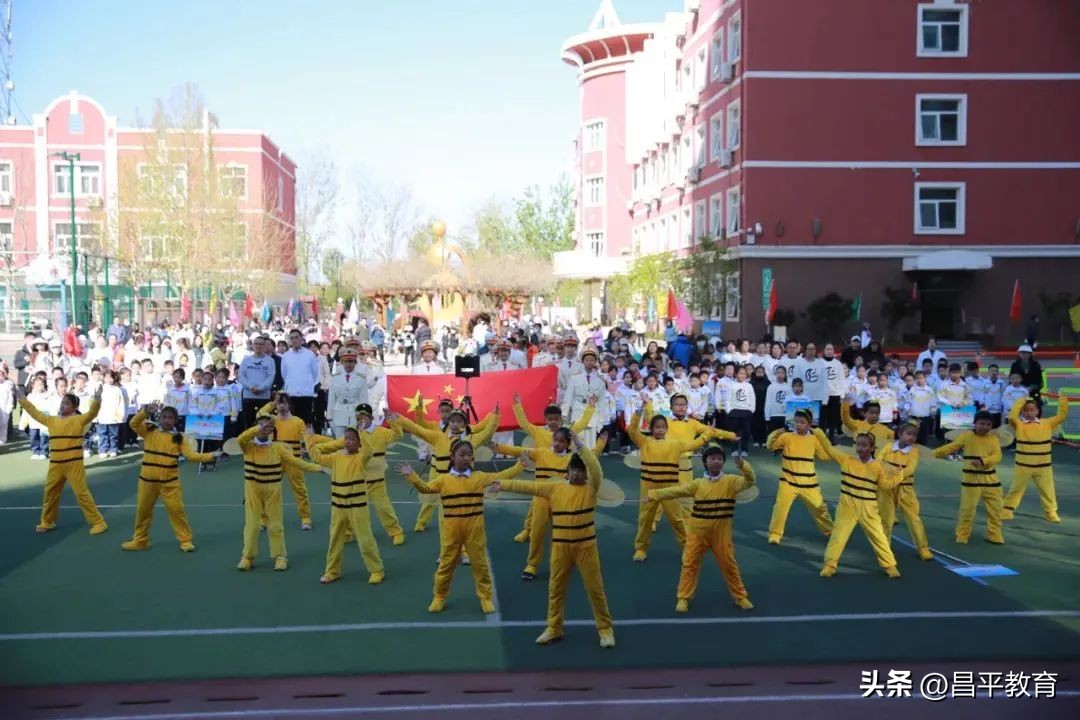 赋能于师丨城区学区在行动!