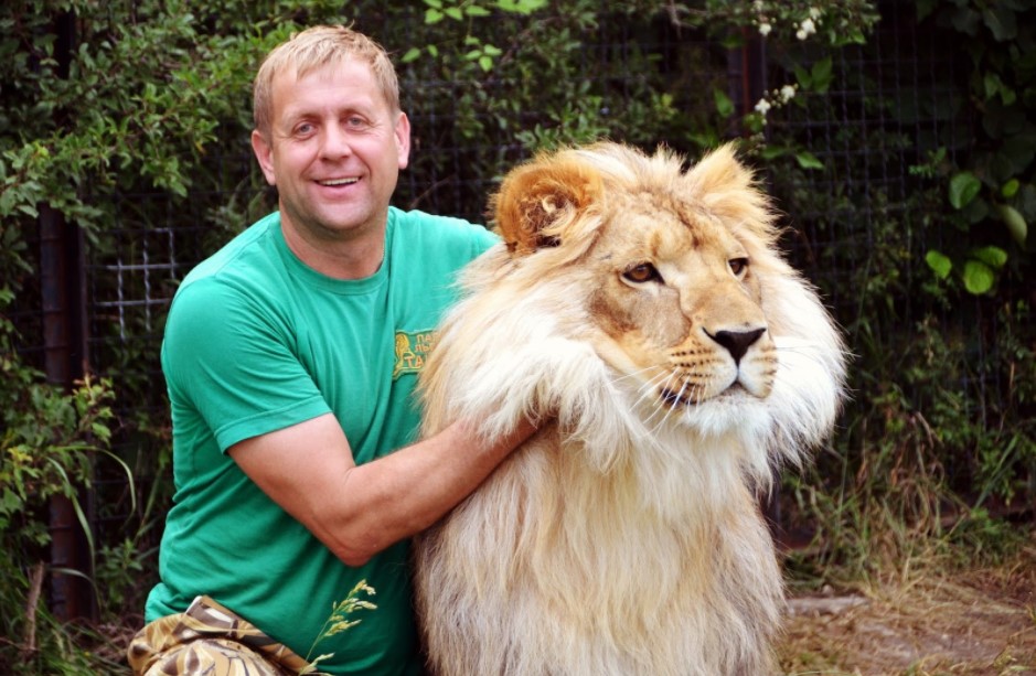 杜高犬挑战老虎遭秒杀,六只杜高犬vs美洲狮