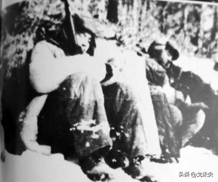 围歼北极熊团敌我伤亡,围歼北极熊团用了多少兵力啊