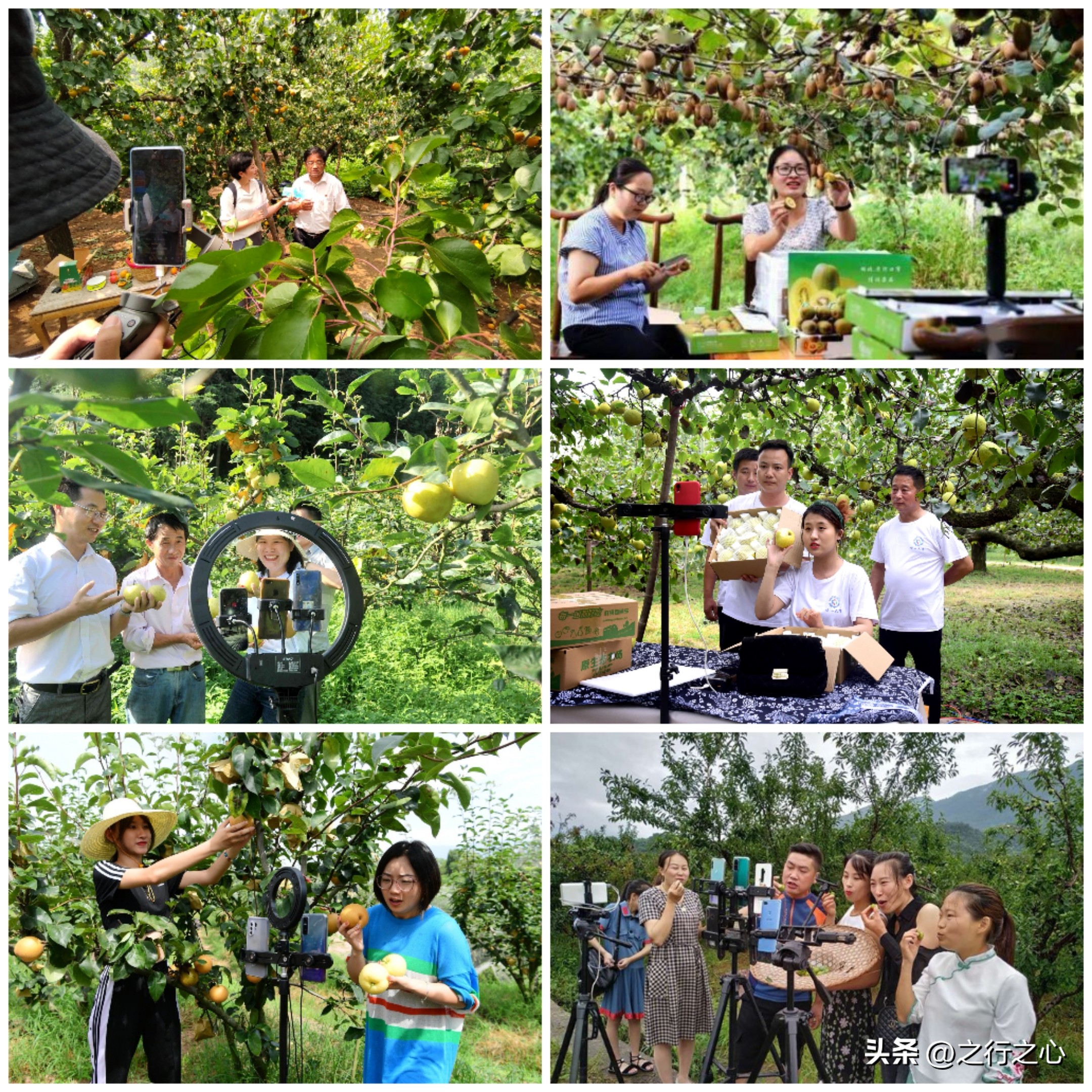 你说怪不怪？全民直播，人人争当网红，谁还愿意进厂“打螺丝”？