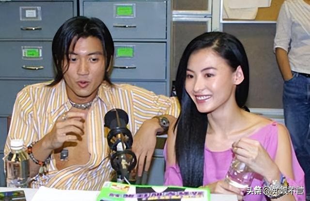 王菲谢霆锋详细相恋过程,王菲和谢霆锋是相差几岁的姐弟恋