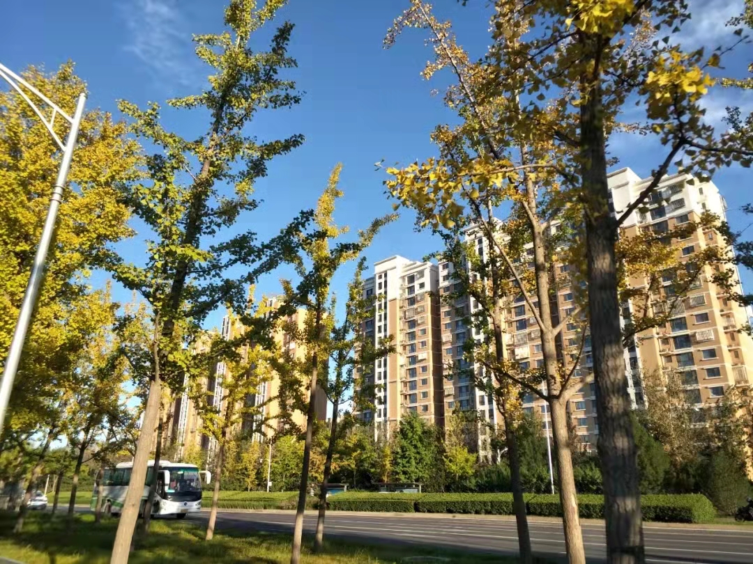 北京朝阳豆各庄房价,北京买房丰台和大兴哪里好一点