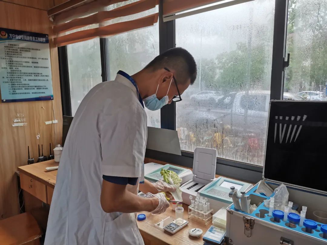 万宁菜篮子蔬菜批发,万宁南林菜篮子配送中心