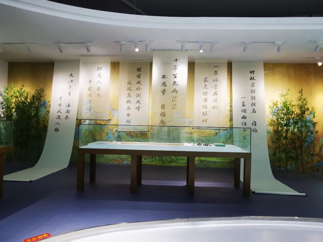 家门口国际盛会,家门口的世界盛会