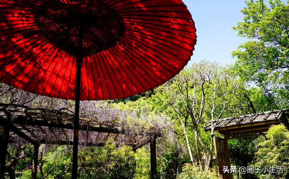 偏振镜的鉴别图,偏振镜参数