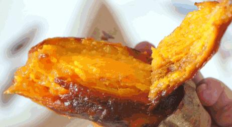 不知道地瓜有没有被老鼠咬过,烟薯被老鼠咬