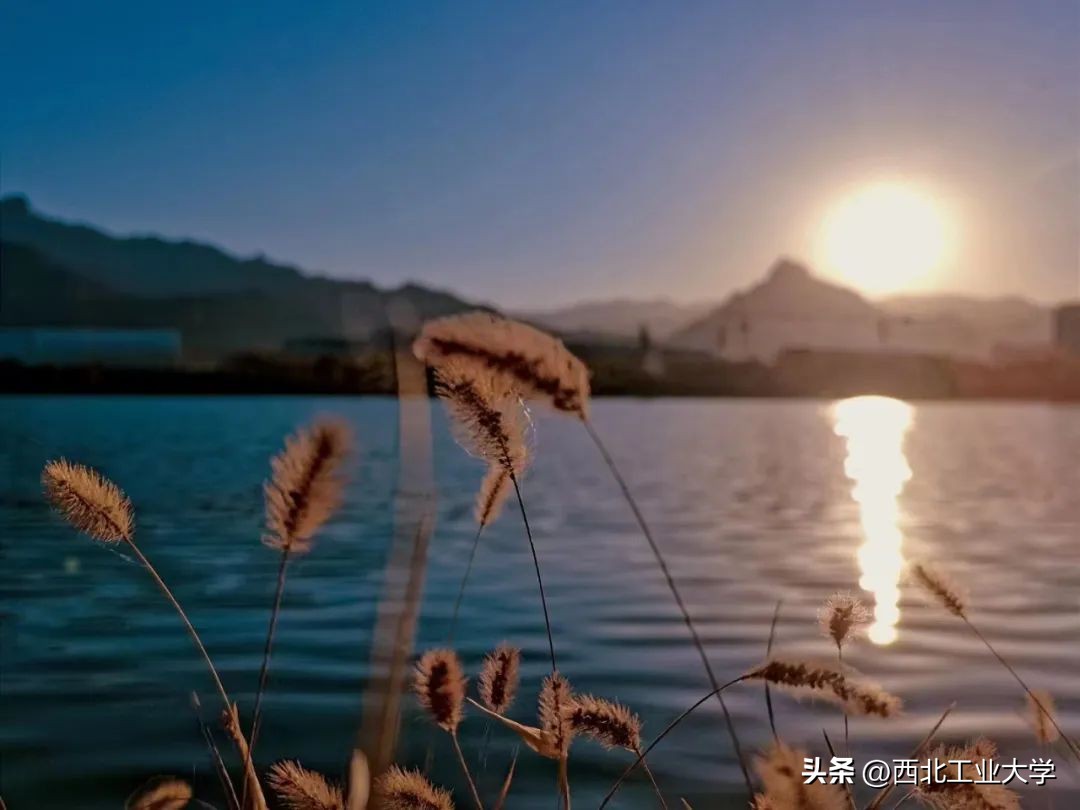 今日雨水!工大四季高清美图，欢迎欣赏使用~
