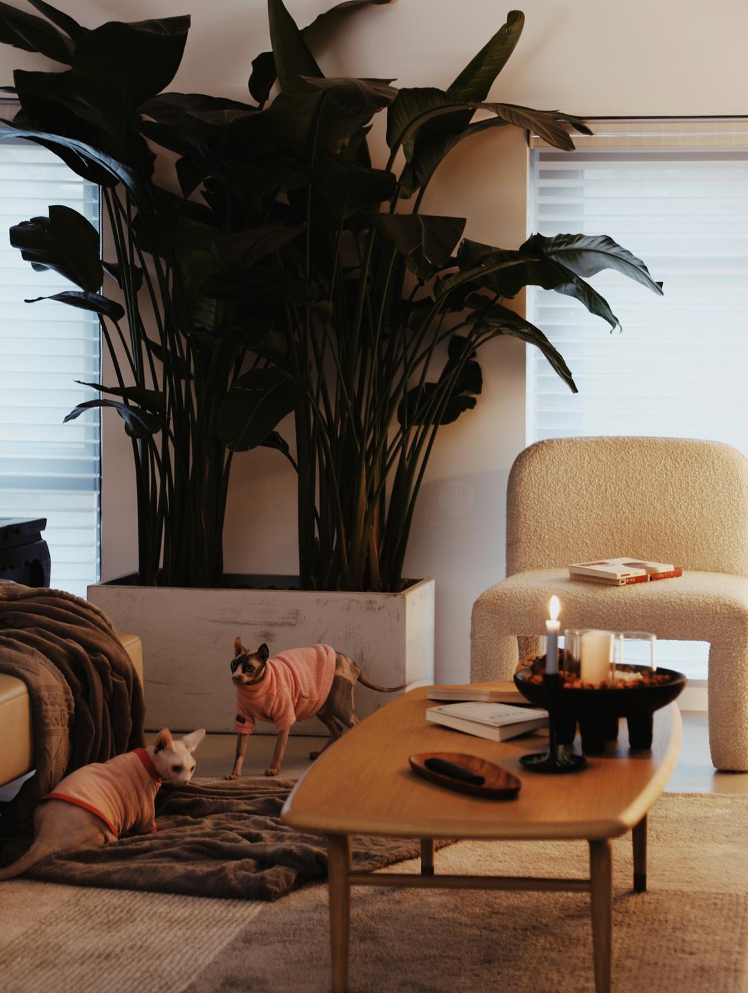 把家装进盒子里怎么做,把家装进生活