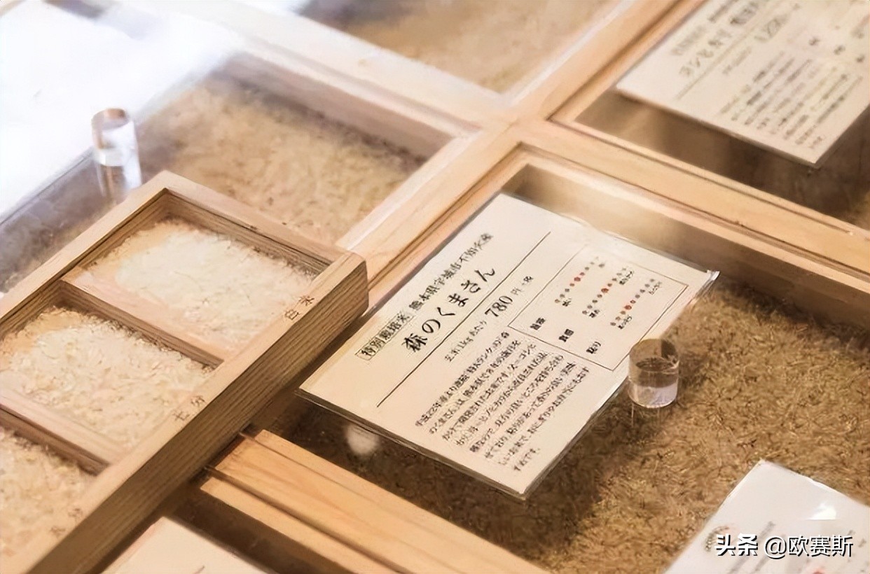 欧赛斯洞察：三个案例告诉你农产品如何做品牌