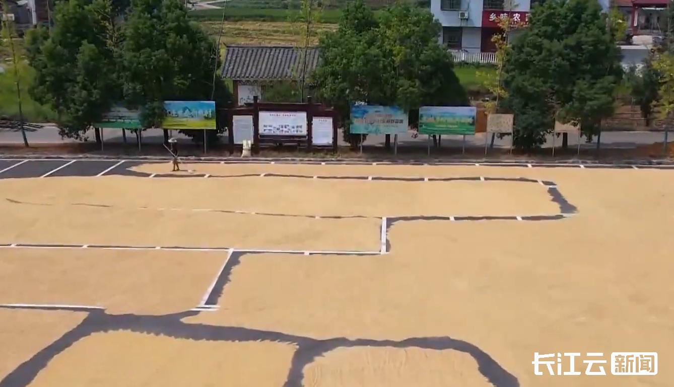 “malimaliHong！”这里有一份颗粒归仓的秘诀→