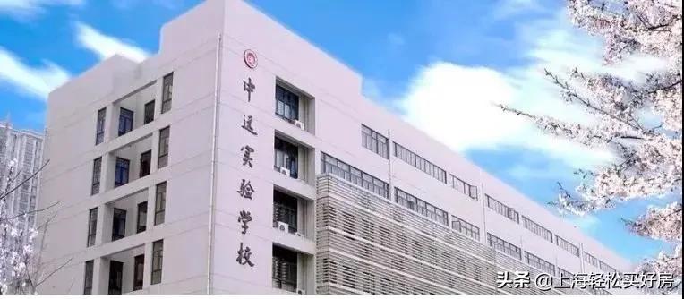 九年一贯制学校高质量发展,中远实验学校小学