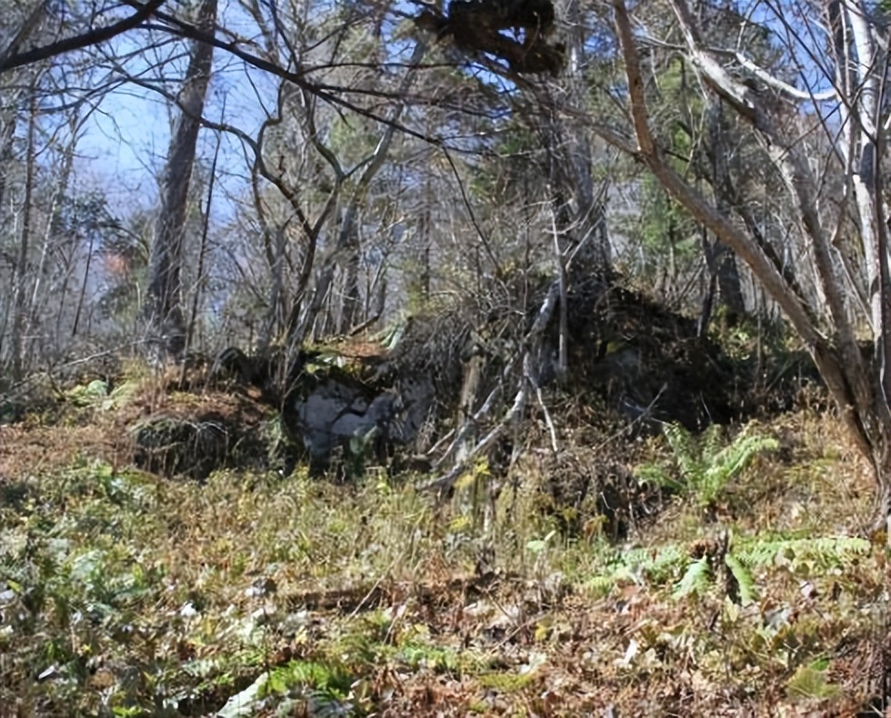 全国三大研学示范营地,三所基地