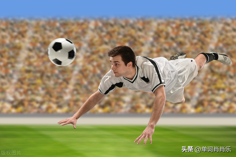 有言有味说单词30讲,有言有味说单词视频