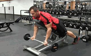 家庭健身房器械如何搭配,健身房器械使用教程女生