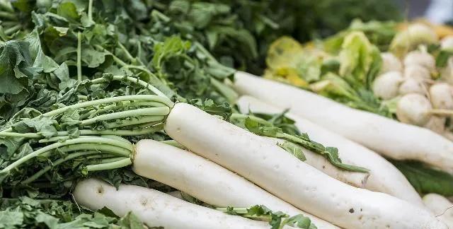 泡萝卜需要什么发酵,泡萝卜要不要用盐腌制一下