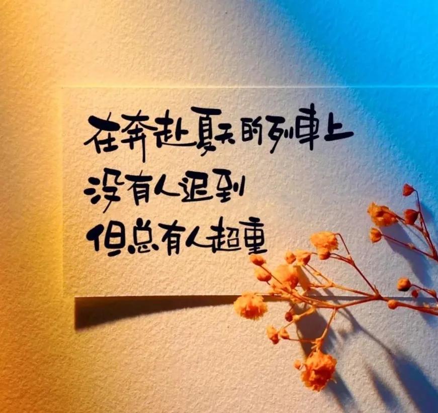 活成一束光的励志语录,让自己活成一束光语录