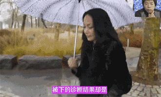 中岛美嘉传奇人生,中岛美嘉的经历