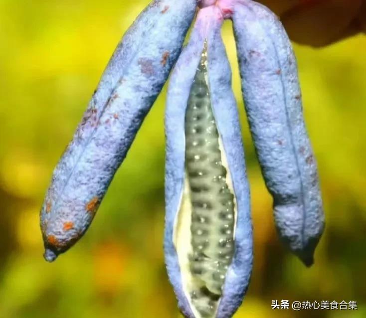 奇葩水果你见过但你肯定没吃过,奇葩水果图鉴你能认得出几种呢