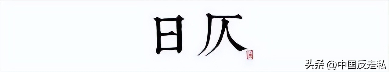 湛江海关缉私局走私最新新闻,湛江海关缉私事件