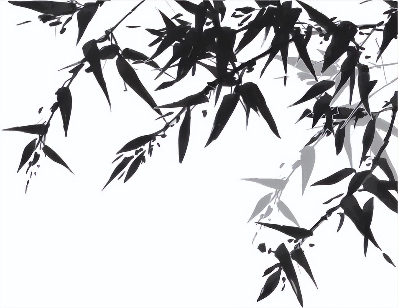 道德经第几章天道忌满人道忌全,道德经天道苍苍人道茫茫