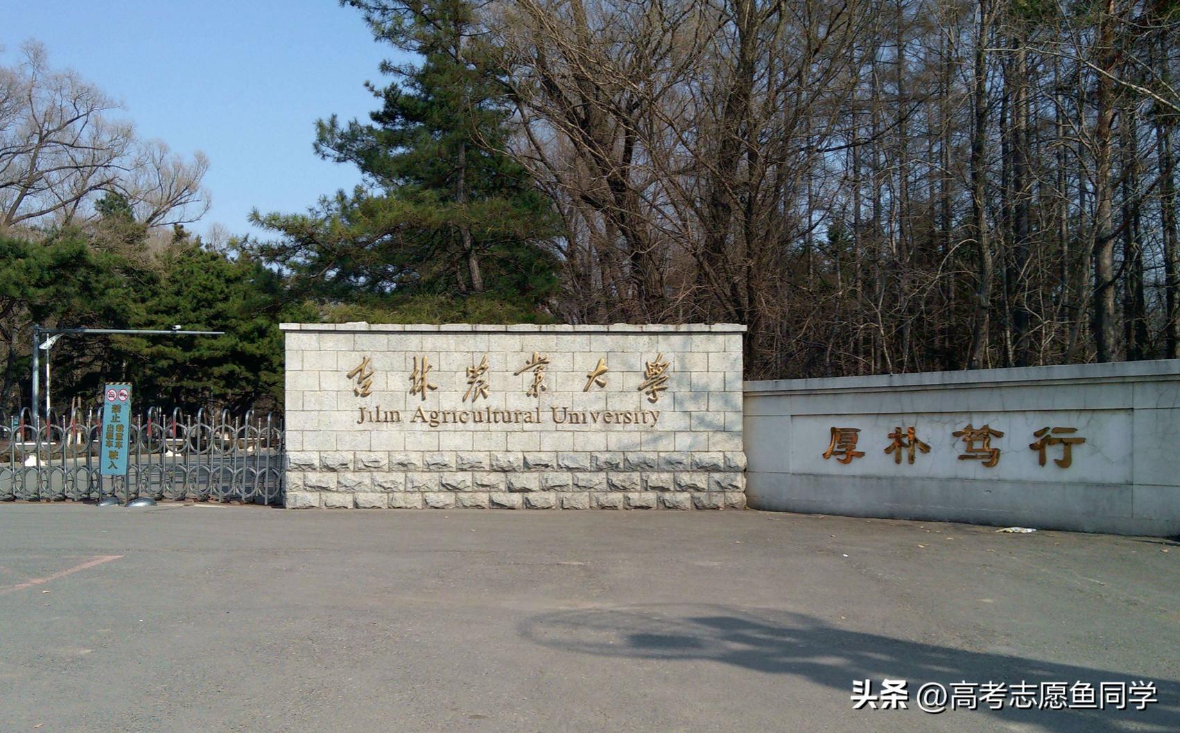 面积最大的农林类大学,全国农林类大学最新排名一览表