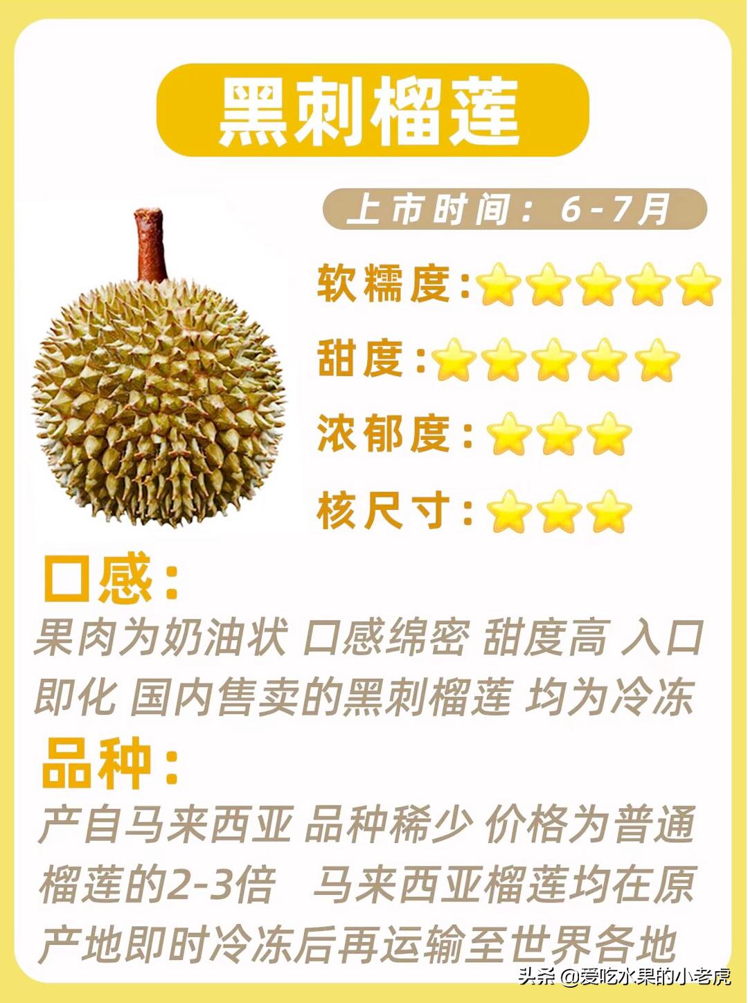 榴莲水果哪个品种最好吃,水果的知识小学生