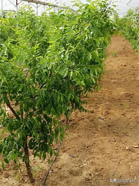 平凡路上的创业人小故事,平凡人的创业故事简短