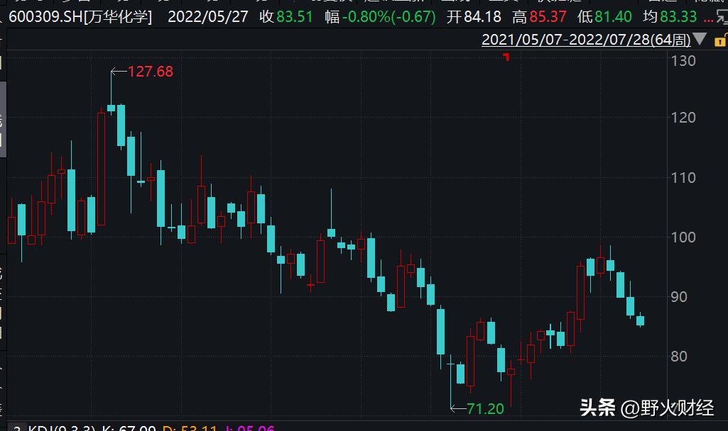 万华化学一年gdp,山东发展潜力万华化学