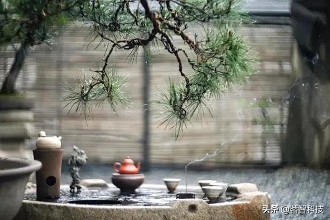 茶楼经营秘籍：如何降低成本提高营收