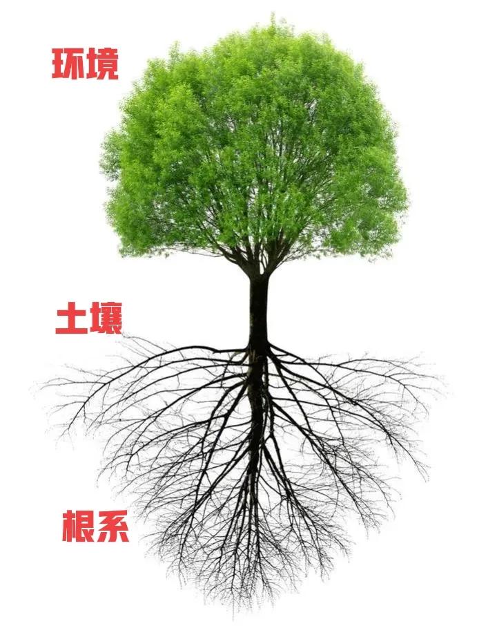 创殇•从医生到负翁「4」