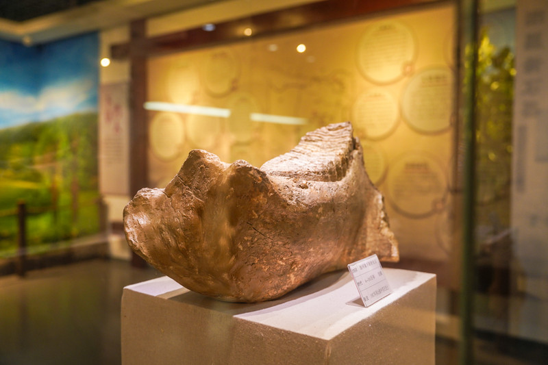 宿州靠谱的景点,宿州市埇桥区小众景点