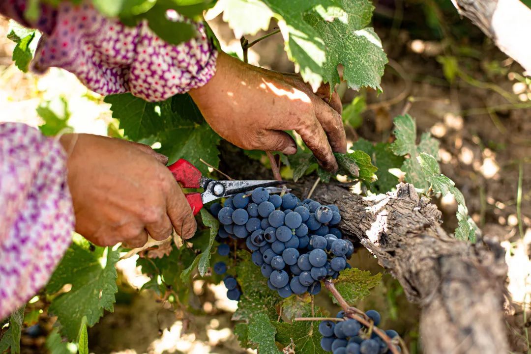 是的我们在一起,是的我们在一起了