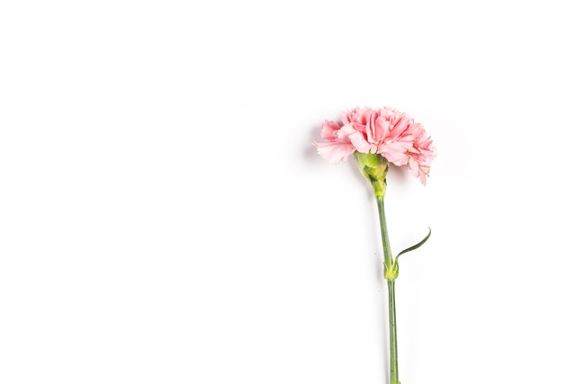 生活小妙招化妆小技巧外国,生活小妙招化妆小技巧