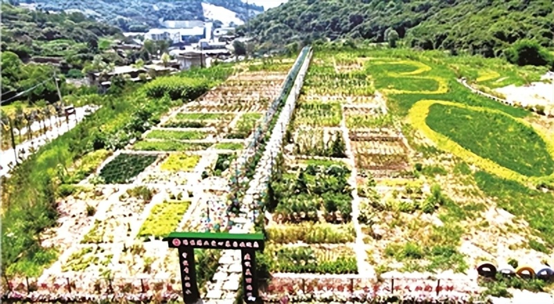 黄陵瑞能煤矿,黄陵矿业瑞能煤业井下视频