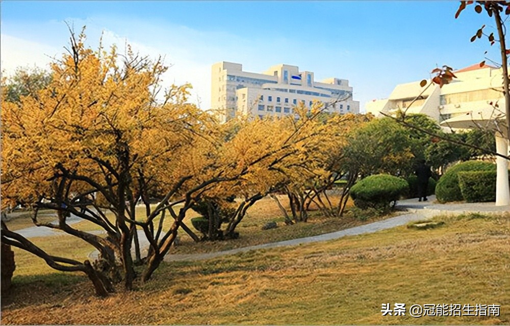 对口医卫类可报什么专业,读医药学校选择什么专业最好