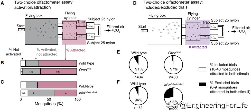 科学家解释招蚊子咬是什么原因,为什么蚊子爱叮你健康科普