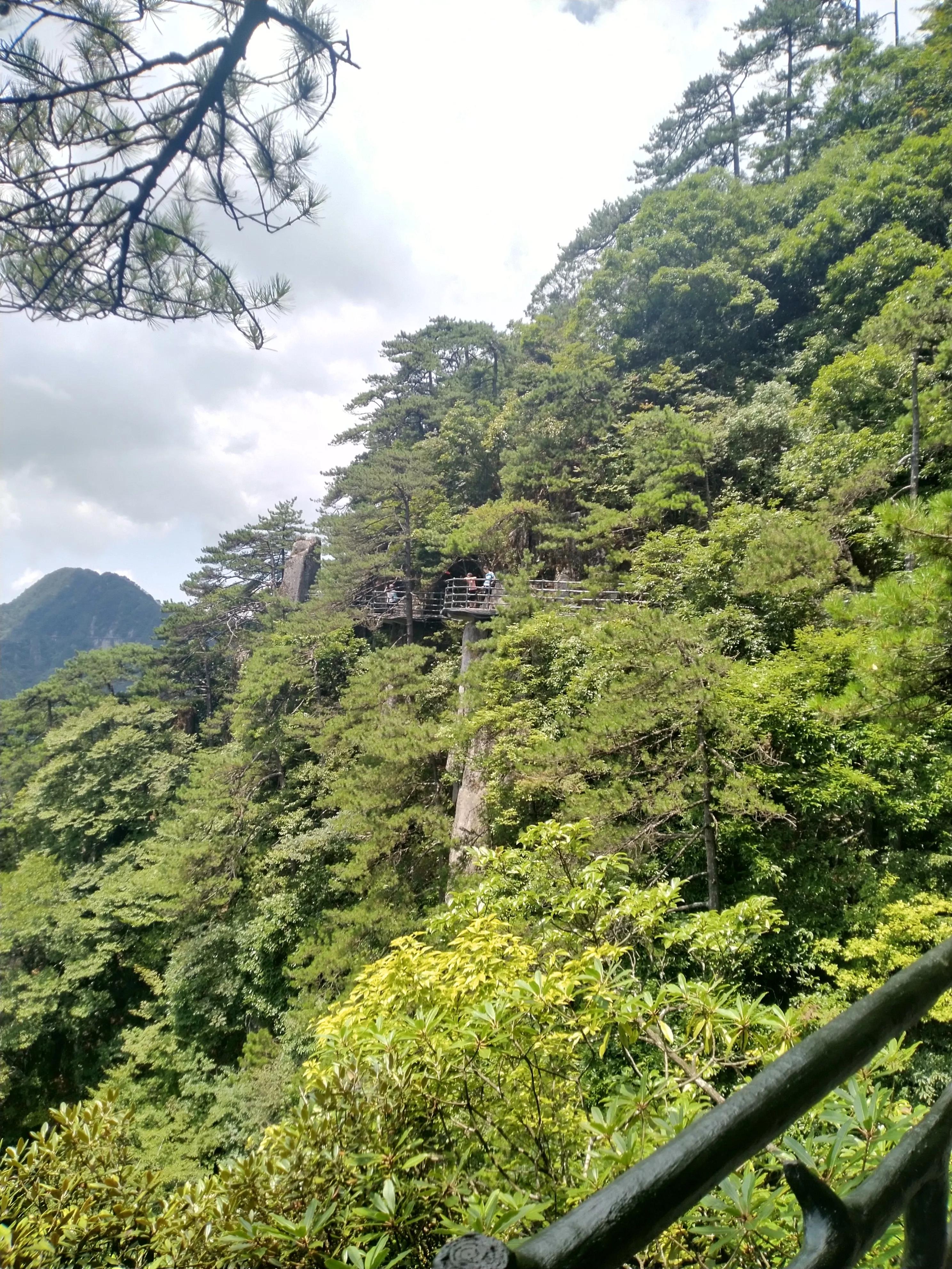 20个简短的作文素材人物事例,20个作文素材简短真实