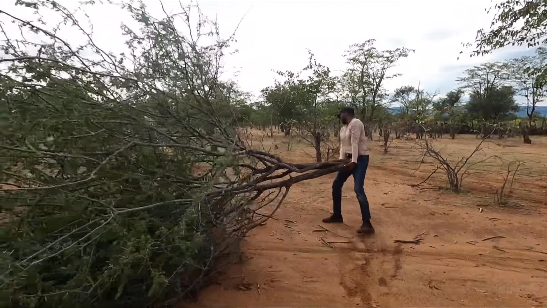 非洲神奇的部落，用牛粪做发型，偶遇不穿衣服的女孩