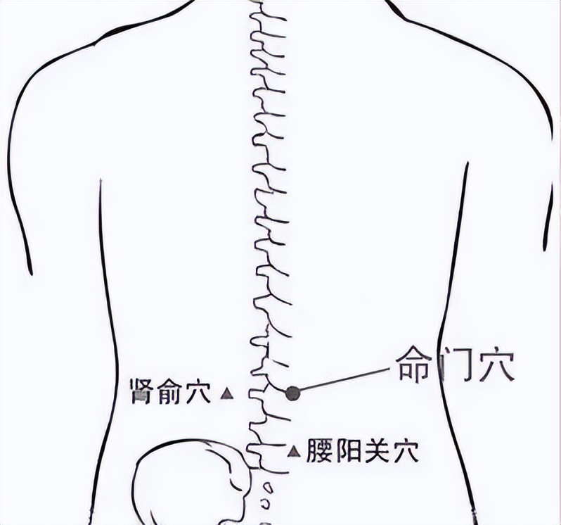 益肾纳气的穴位,补脾肾阳气最快的穴位