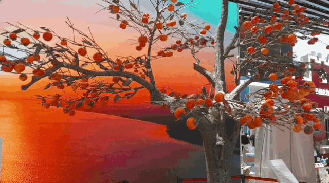 4分钟带你参观耗资240亿,30秒带你逛展厅