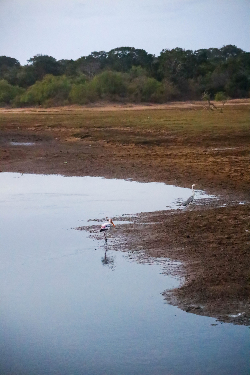 斯里兰卡旅游攻略必去景点,斯里兰卡旅游攻略最佳时间