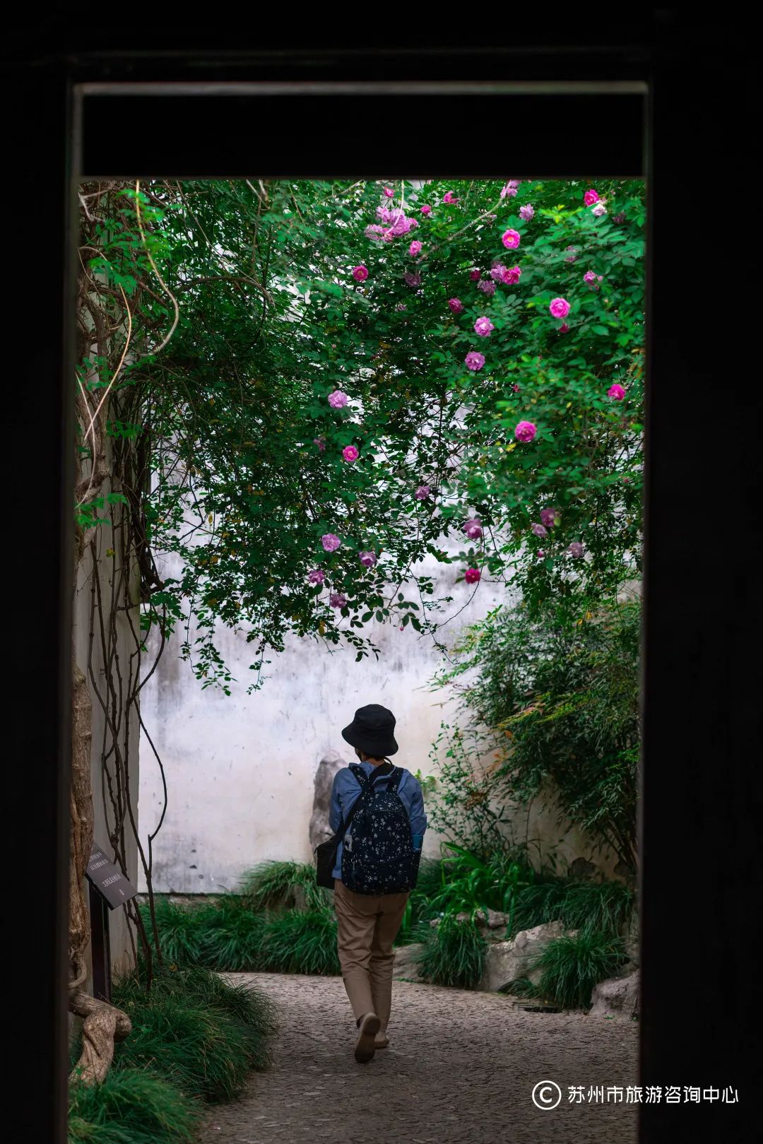 苏州秋冬打卡景点推荐,苏州人少景美的小众旅行地