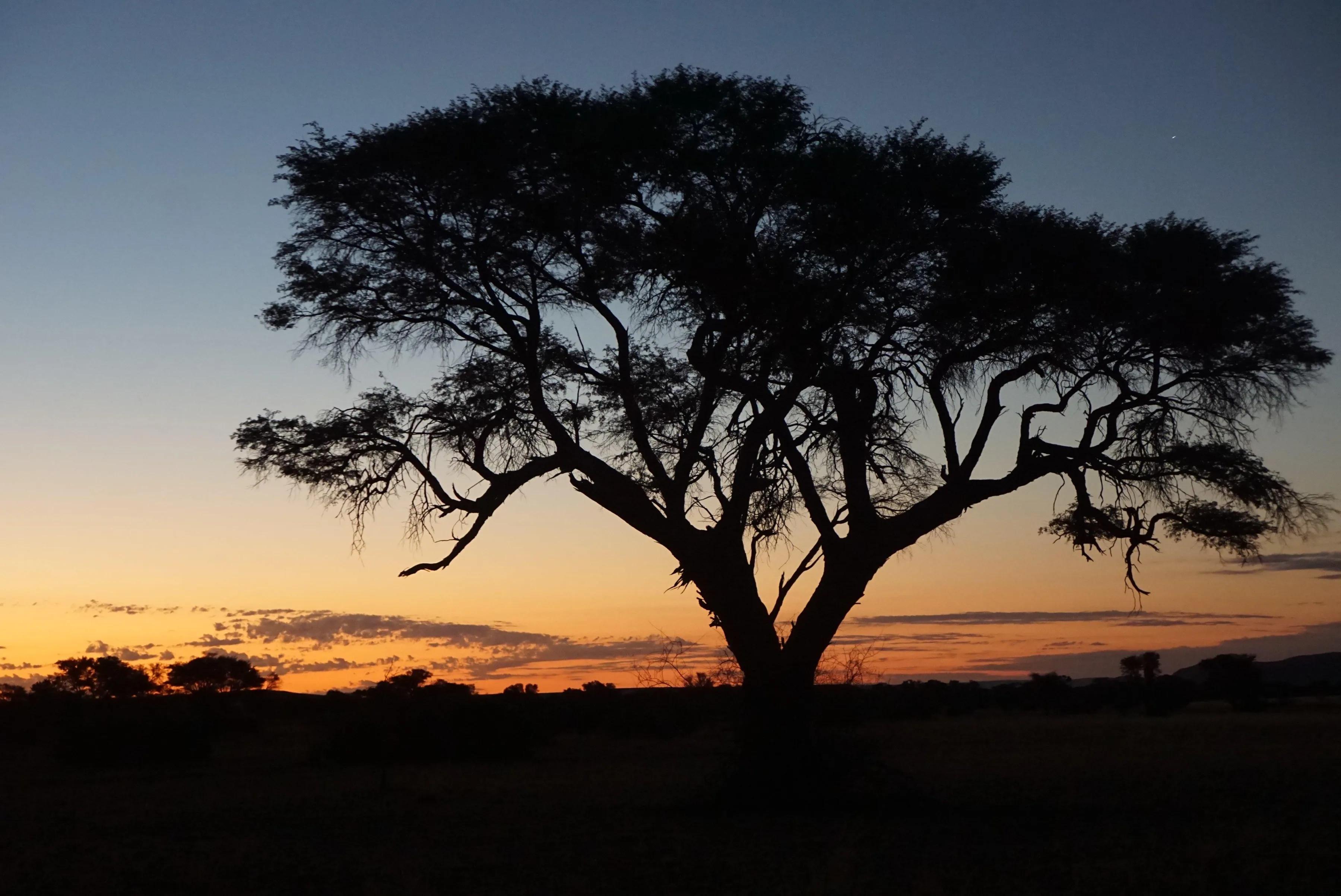 绾崇背姣斾簹绾㈣壊娌欐紶,绾崇背姣斾簹娌欐紶涔嬫梾
