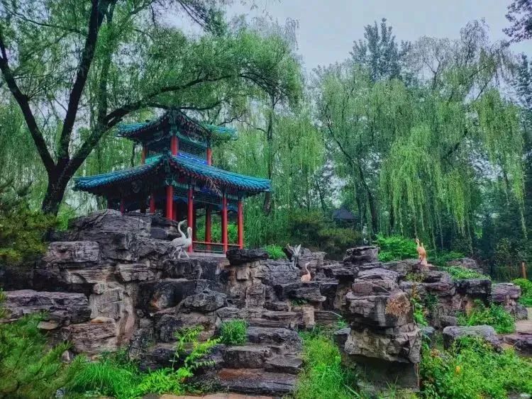 【FENG娱】王佐镇：娱乐+科普+自然，暑假解锁亲子出游新方式！