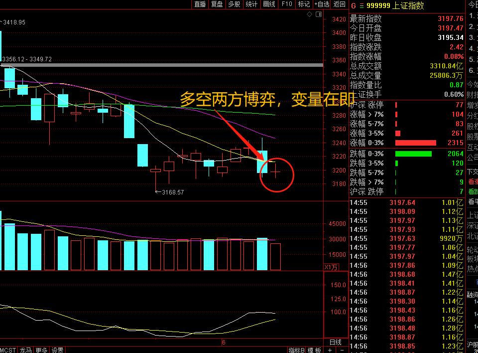 每日复盘量价配合强势反弹,复盘情绪周期