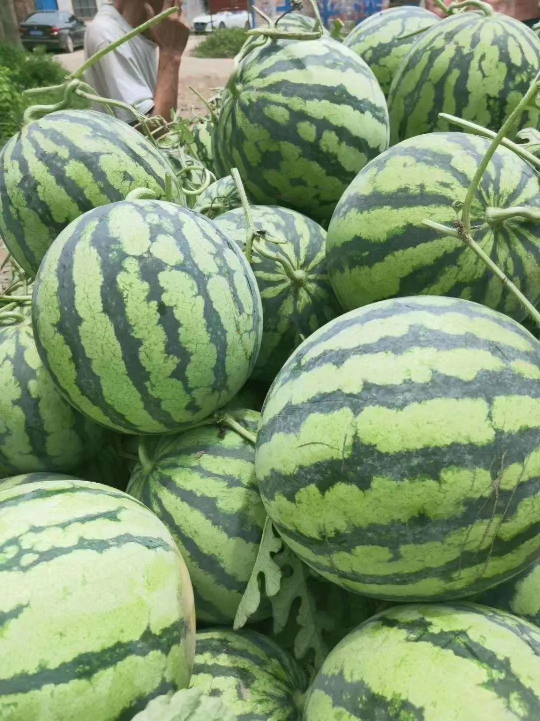 今年夏天最好吃的西瓜,10种最好吃的西瓜