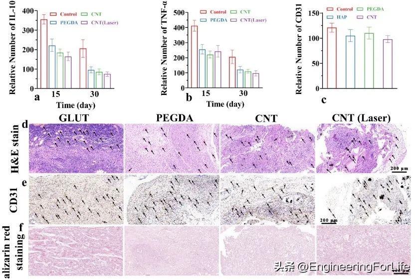 多功能修护水凝胶,水凝胶修复心脏