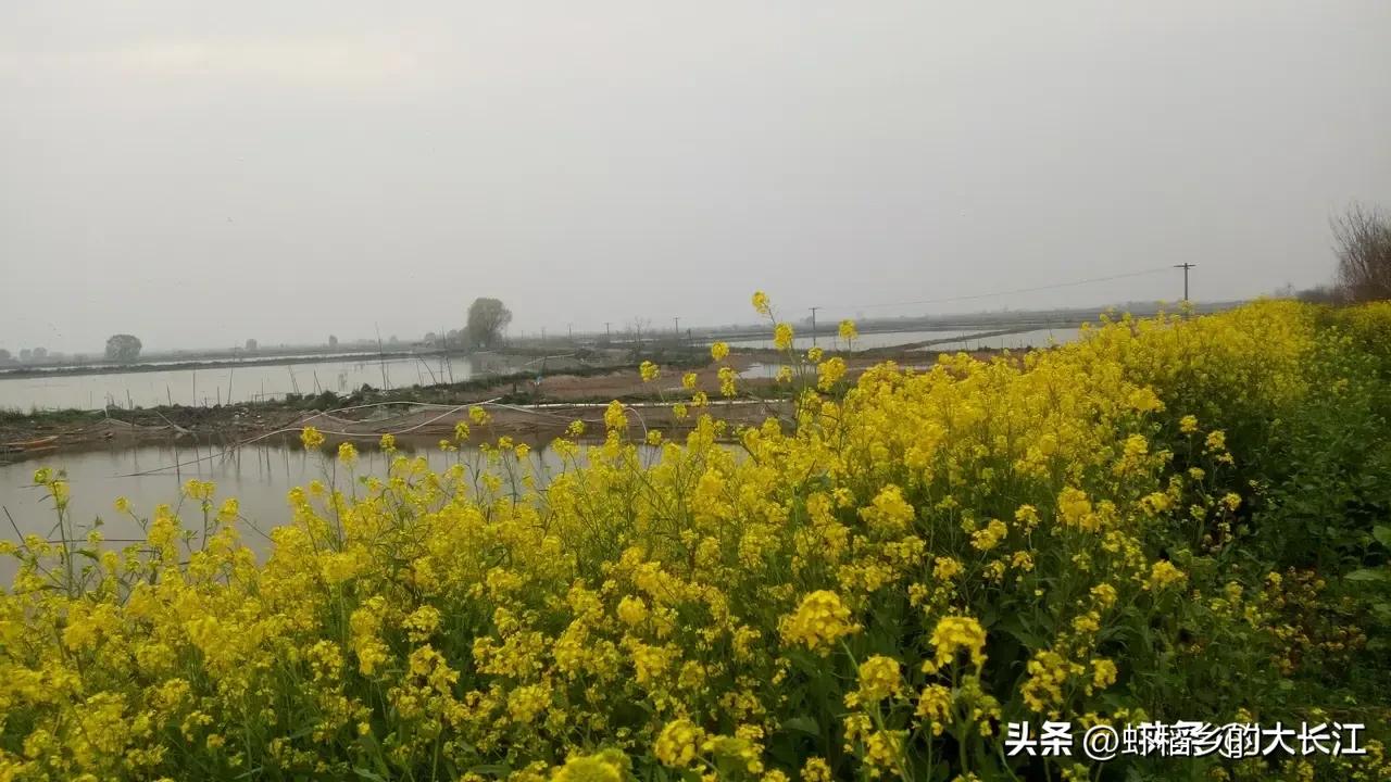 春雷一声响祖国好风光,春雷一声响完整版